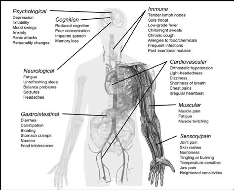 2 Diagram of the symptoms associated with CFS grouped within the body ...