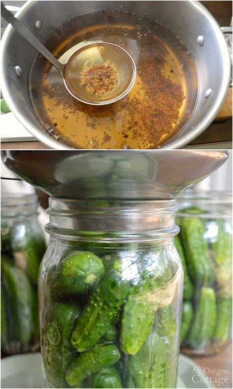 Easy Refrigerator Garlic Dill Pickles (And Why It's Better Than Canning ...