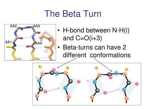 PPT - Biological Macromolecules PowerPoint Presentation, free download ...