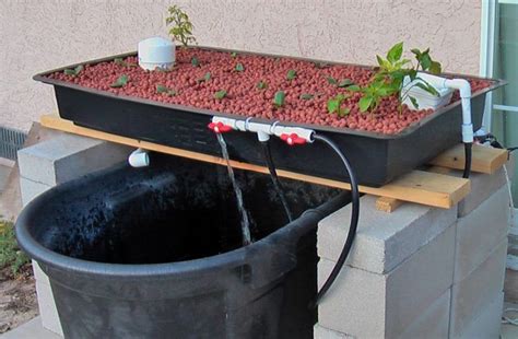 13 DIY Aquaponics Systems to Suit Any Budget | Aquaponics diy ...