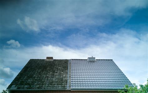 Roof Moss Removal: How To Remove Moss From Roof For Good