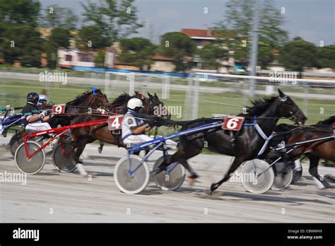 Trotting tracks hi-res stock photography and images - Alamy