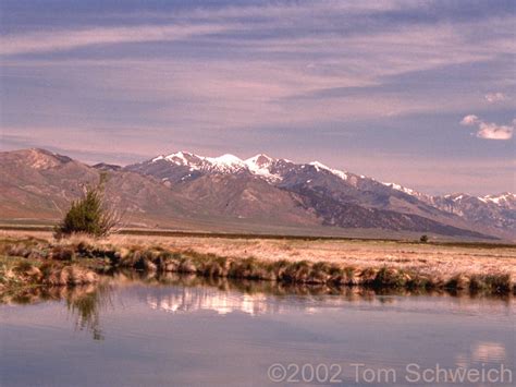 Photo: View northeast of Ruby Mountains from Ruby Lake National Wildlife Refuge.