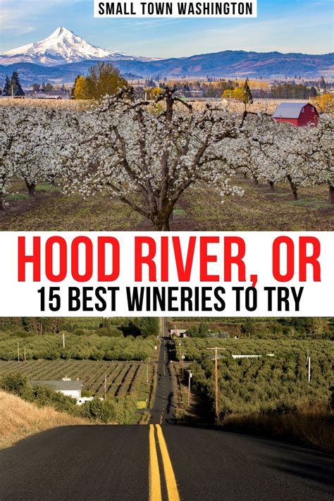 15 Delicious Hood River Wineries to Visit ASAP • Small Town Washington