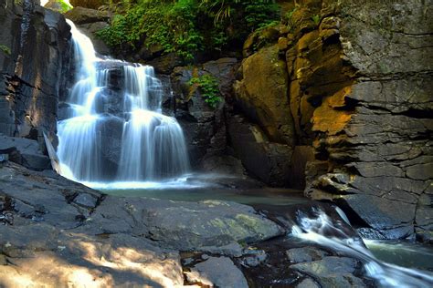 Purlingbrook Falls | Springbrook | Queensland, Australia | National ...