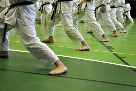 Karate stance stock image. Image of dachi, sport, practitioners - 25450651