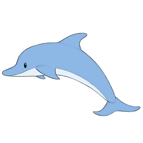 Dolphin Clipart For Kids