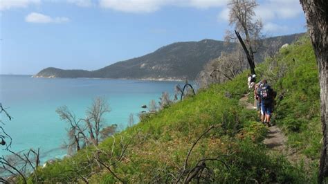 Wilsons Promontory National Park: The best Wilsons Prom Walks