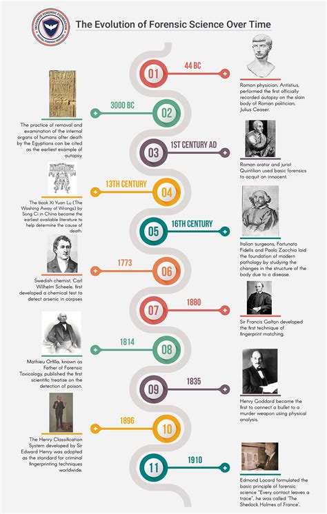 Historical forensics timeline : r/coolguides