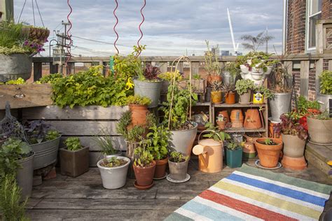 Start a Rooftop Container Garden - Brooklyn Botanic Garden