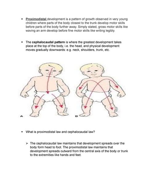 Proximodistal-and-Cephalocaudal-Development - Proximodistal development is a pattern of growth ...