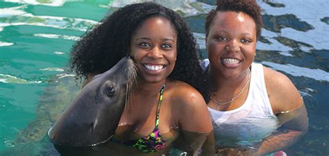 Blue Lagoon Sea Lion Encounter | Bahamas Tour Center