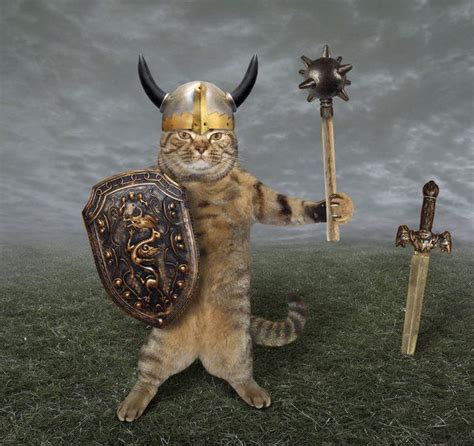 Viking Cats - DNA Study Shows the Crucial Role Felines Played in Viking Life Viking Helmet ...