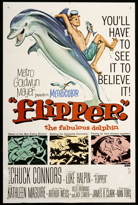 File:Flipper 1963 movie poster.jpg - Wikimedia Commons