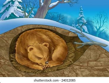 Hibernation Photos and Images | Shutterstock