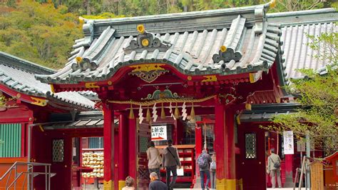 Hakone Shrine in Hakone, | Expedia