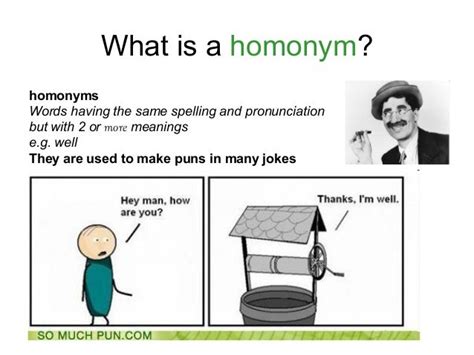 Puns - Homophones and Homonyms