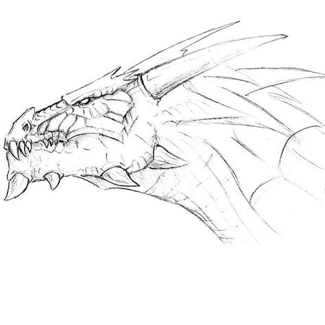 Awesome Dragon Head Drawing