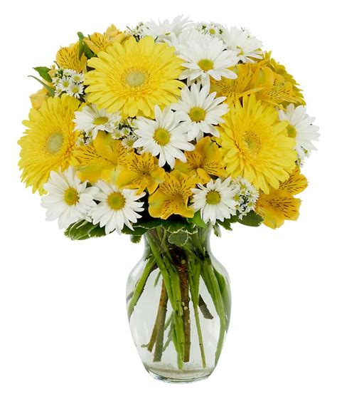 Daisy a Day Bouquet at From You Flowers