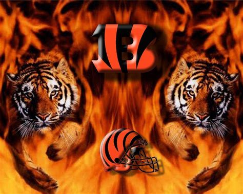 Bengals Wallpapers - Wallpaper Cave