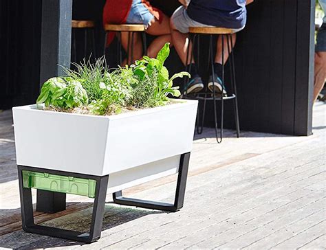 This self-watering planter box is the green thumb you never had