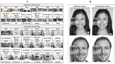 Facial Expressions And Emotions Psychology