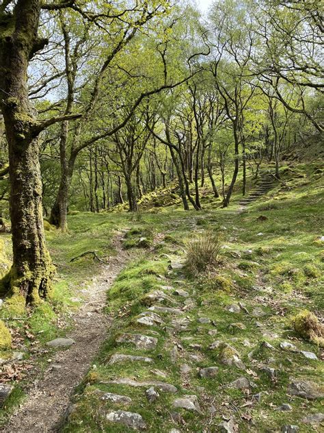 A quick hike up the roman steps, Llanbedr, Wales - La Vie Zine