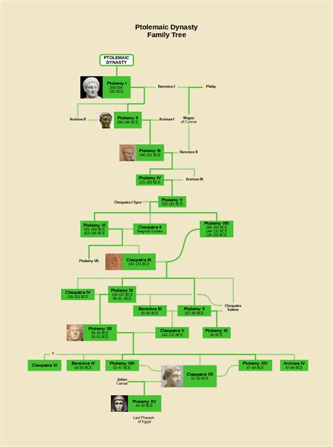 Ptolemaic Dynasty : r/UsefulCharts