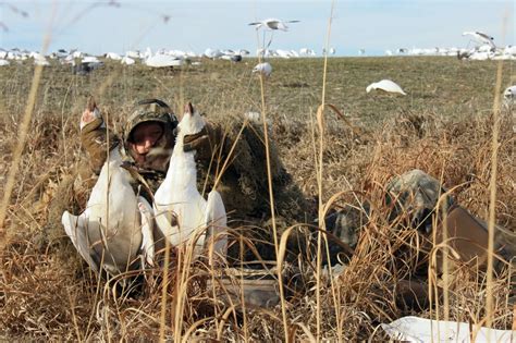 Spring Snow Goose Hunting: An Ever Evolving Sport