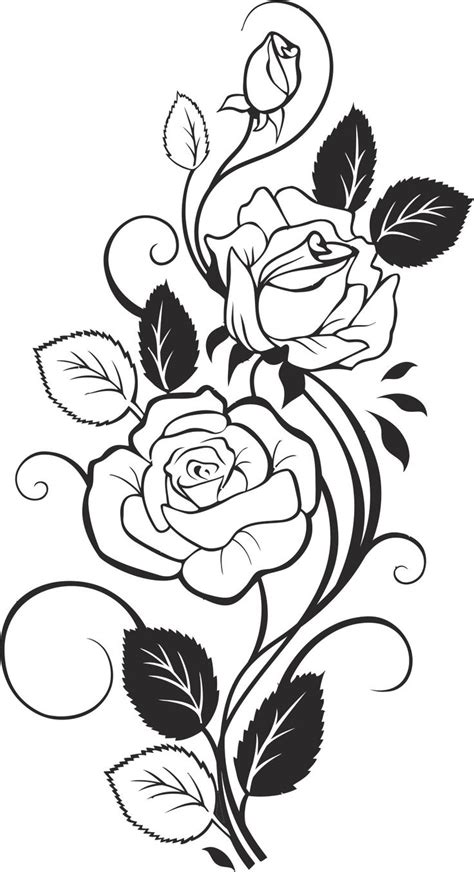 Black and White Rose Vector Free Vector cdr Download - 3axis.co ...