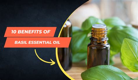 10 Benefits of Basil Essential Oil – Jain Super Store