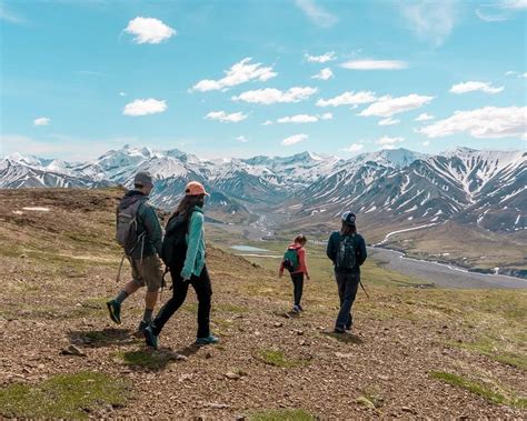 Denali National Park: Ultimate Guide to Hiking, Camping and Wildlife ...