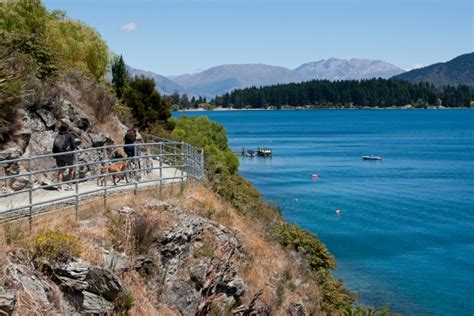 Top 5: Epic Queenstown Trail Adventures - Queenstown Trail