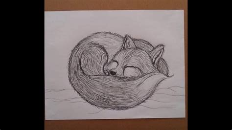 Sleeping Fox Drawing