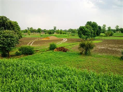 Punjab Pakistan | Desi HD Village Photos - Karamat Adeel