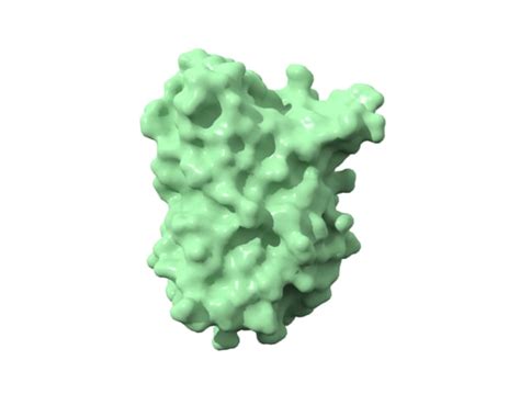 Protein 3D Models for Download | TurboSquid