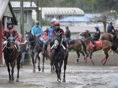 Season kicks off at Hastings Racecourse | Vancouver Sun