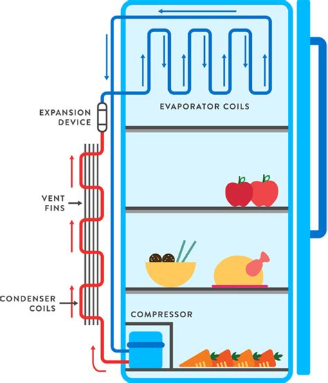 How does a Fridge Work - Fantastic Fridges (IoR)