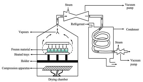 parafuso Verdureiro Articulação freeze dryer diagram êxtase Espanto ...