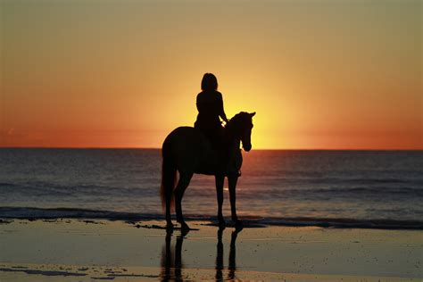 Best Beach Horseback Riding Tips