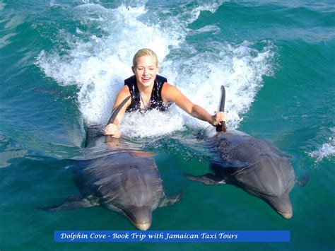 Ocho Rios Dolphin Swim & Tour Jamaican Taxi Tours and Jamaica Airport Transfers UZEEMI