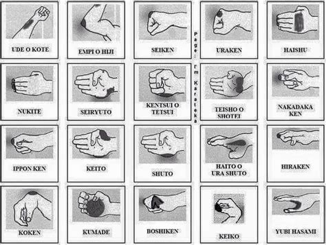 Resultado de imagen para KARATE punches types | Karate shotokan, Treino de artes marciais ...