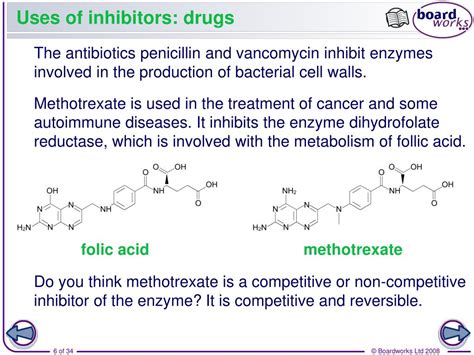 Examples Of Enzyme Inducers And Inhibitors