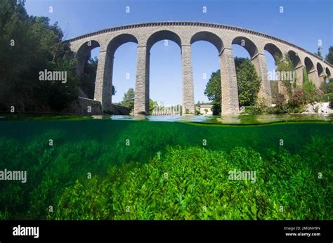 Spring of the Sorgue, Vauclusian spring, Fontaine de Vaucluse, Provence, France Stock Photo - Alamy