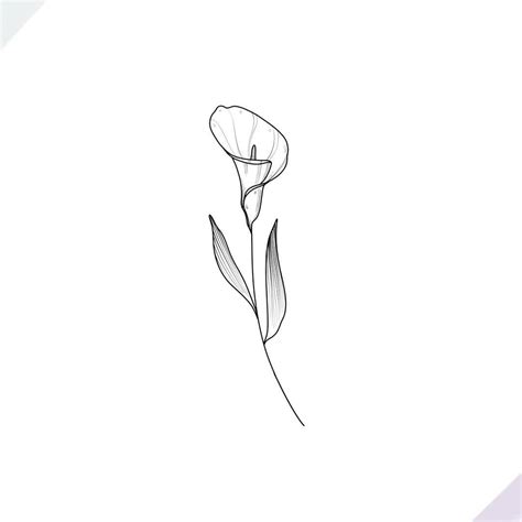 Update 64+ calla lily tattoo design best - in.eteachers