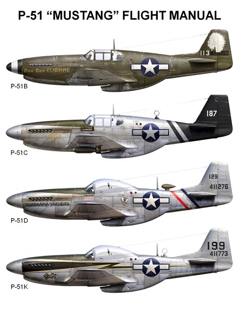 P-51D PAINT SCHEMES!!! - DCS: P-51D Mustang - ED Forums