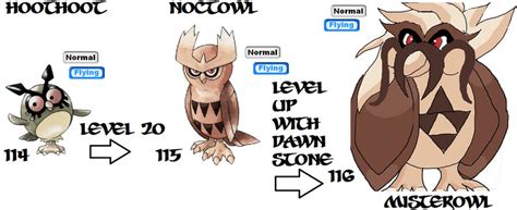 114-116 Hoothoot evolutions by aquamic on DeviantArt