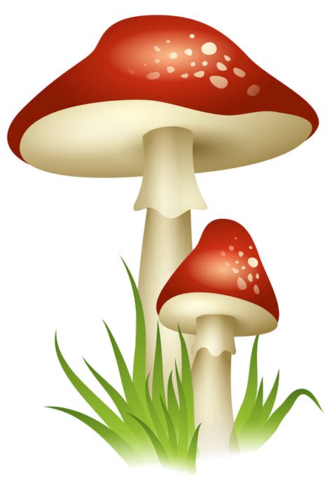 Mushroom Clip art - Mushrooms Transparent PNG Picture png download ...