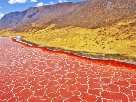 Lake Natron, The Deadly Lake in Tanzania – InspirationSeek.com