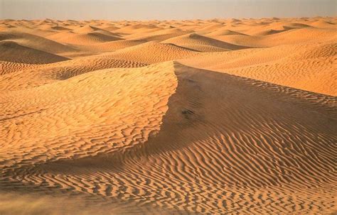 Clean energy could make the Sahara green